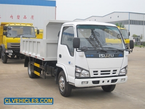 Small Capacity Tipper Truck